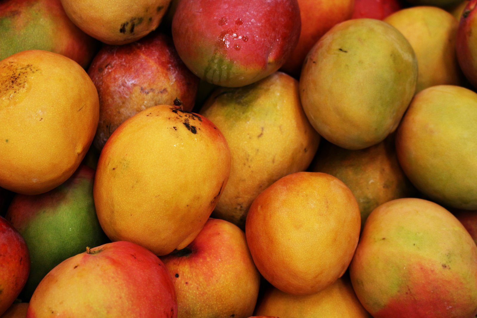Mango